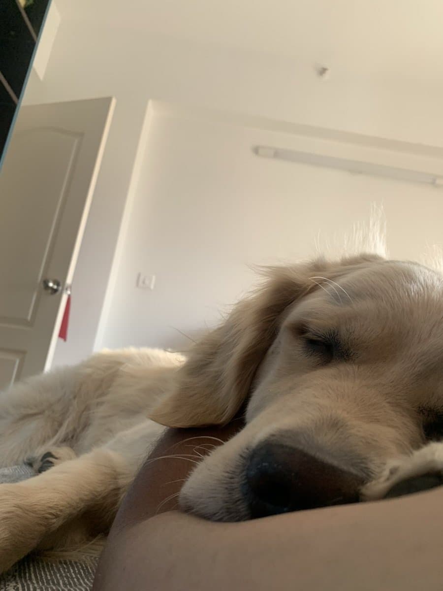 Blue asleep